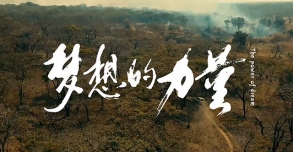 華友鈷業丨創業微電影《夢想的力量》